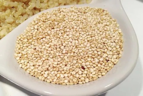Quinoa in Hindi kitchenhelp.in