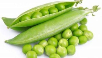 Frozen Green Peas Business : घर से शुरू करें यह हरी सब्जी का कारोबार, 10 गुना तक की कमाई